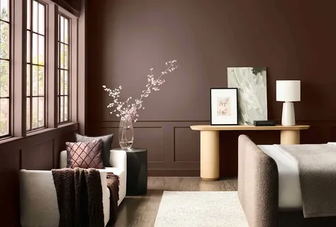 Paint colour palette samples and options during home colour consultation